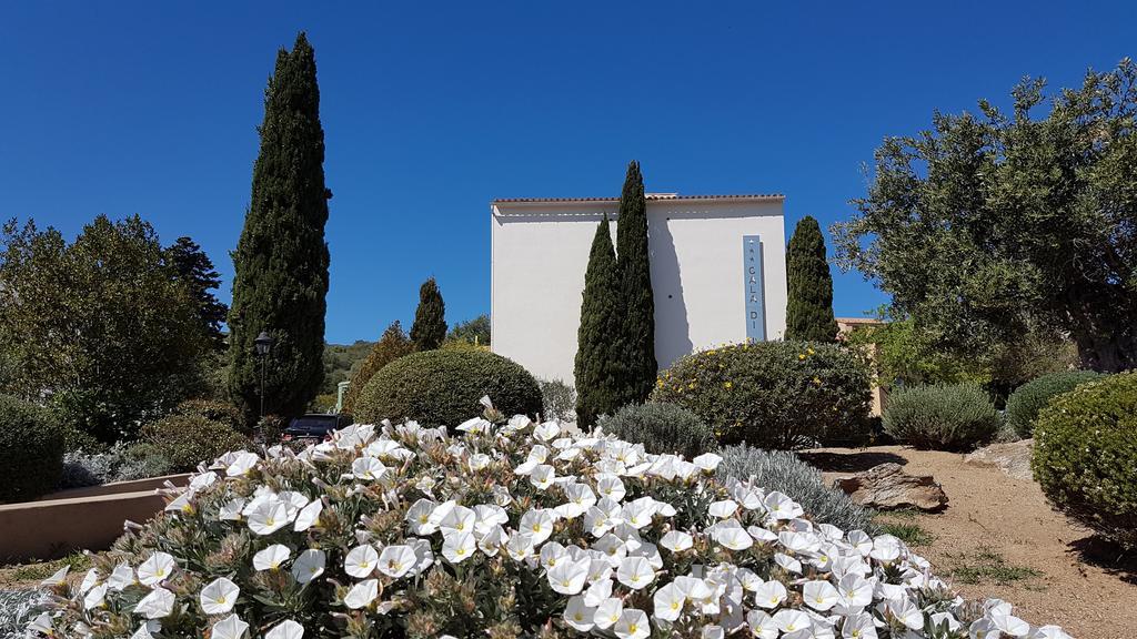 Hotel Cala Di L'Oru L'Ile-Rousse  Exterior photo